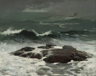夏のスコール、1904