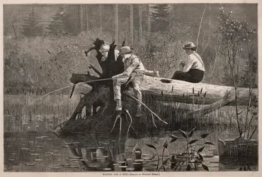 咬傷を待つ、1874年。