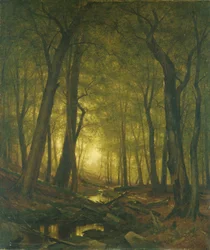 森の夜、1876。
