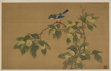 鳥と果物