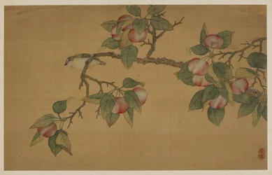 鳥と果実 清朝時代 1741年