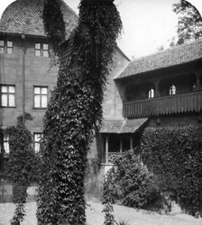 中庭、ニュルンベルク、バイエルン、ドイツ、c1900年代のライムの木。