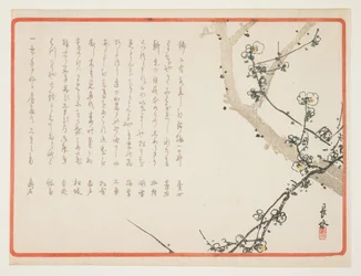 (梅の花)