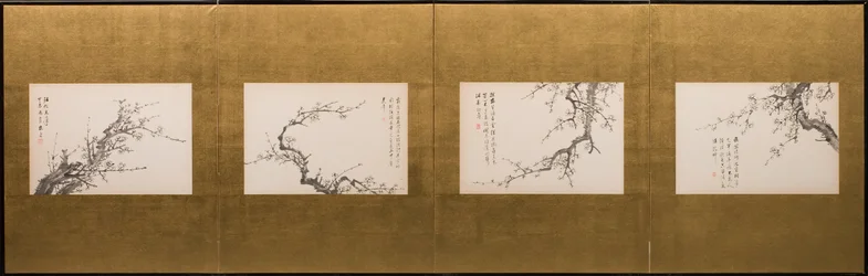 サクラの花