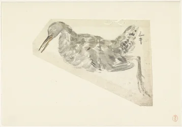 死んだ水鳥