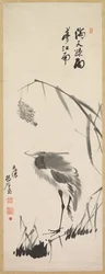白鷺と葦