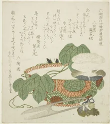 ボウル、はさみ、朝顔
