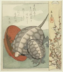 亀の酒盃