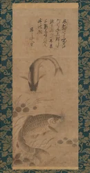 鯉と水草の図 15世紀後半