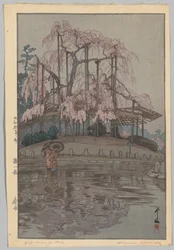 桜八景 春雨（さくらはちだい：春雨）