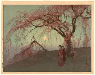 クモイサクラ（雲井桜