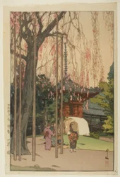 川越の桜の木