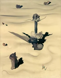 土塊（人間）