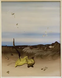 同様の輝き