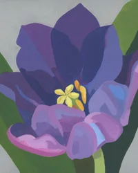 鮮やかな紫色の花