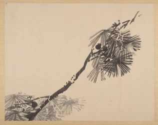 絵画