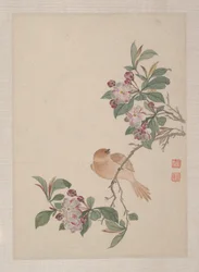 鳥、昆虫、花