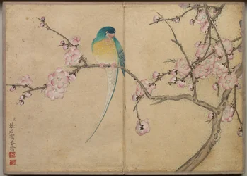 卓上帖 花鳥画（梅に鳥）