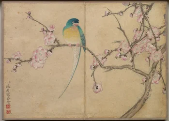 デスクアルバム花鳥画集（梅の花と鳥）