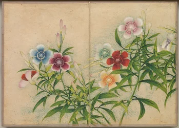 卓上アルバム 花鳥画（ピンク）