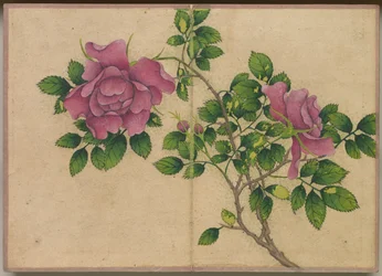 卓上アルバム 花鳥画（バラ）
