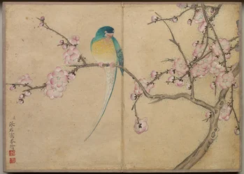 デスクアルバム：花と鳥の絵画梅と鳥、18世紀。