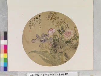 花とロック