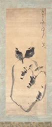 湖の岩の上の鳥