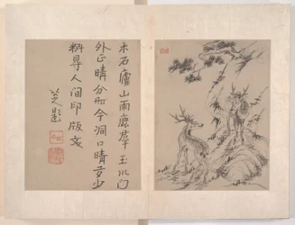 雑画アルバム（12枚組、紙に水墨画）