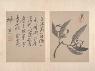雑画アルバム（12枚組、紙に水墨画）