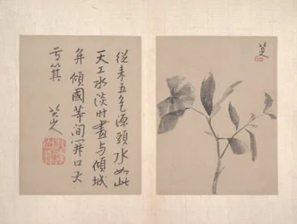 雑画アルバム（12枚組、紙に水墨画）
