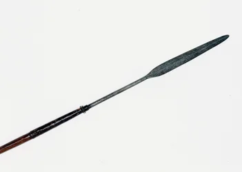皇太子殿下の遺体付近から回収したアセガイ