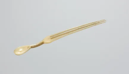 スナッフ スプーン/コム 1800年代後半（骨
