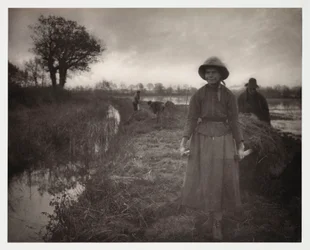 耕作、収穫「ポーリング・ザ・マーシュ・ヘイ」(transport du foin des marais)