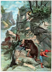 クマの攻撃
