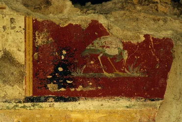 鳥、フレスコ画断片、古代ローマ都市ウルブス・サルビアのサルス・アウグスタ神殿-クリプトポルティカス、イタリア、マルケ州ウルビサリア（写真）