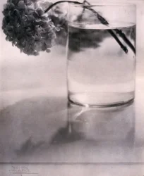 あじさい（1907年頃
