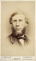 John Tyndall, アイルランドの物理学者, 1875年頃