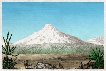 エクアドルのタピア高原にあるチンボラソ火山。 1840年頃（彫刻）