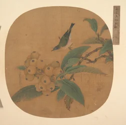 ビワの木の上の鳥