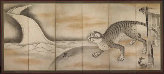 虎