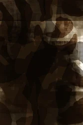 アブストラクト・カモ・レイヤーズ
