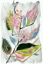 抽象的なピンクの花