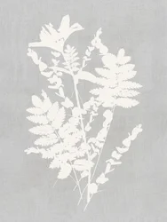 植物のシルエット研究