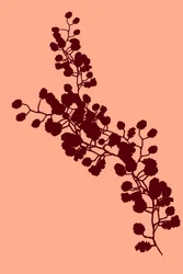 優雅な花のシルエット