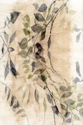 優美な植物の流れるような美しさ