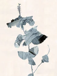 ハイビスカスの花 抽象画