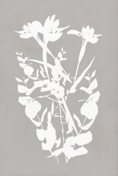 モダンな植物のシルエット