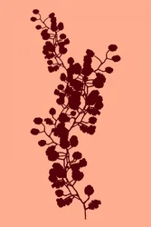 ピーチの植物シルエット