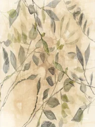 柔らかな植物の葉